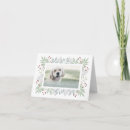 Search for golden labrador cards Puppy