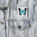 Search for butterfly square badges Nature