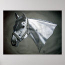 Search for equines posters Equestrian