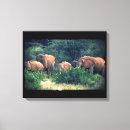 Search for herd photography Africa