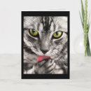 Search for cat face cards Tabby