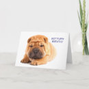 Search for peis cards Puppy