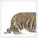Search for two sided stickers Wildlife