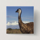Search for emu badges Animal