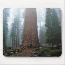 Search for generic mouse mats Nature