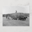 Search for cutting postcards Farm