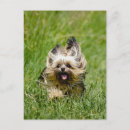 Search for playful vertical postcards Happy