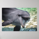Search for dolphin posters Smiling