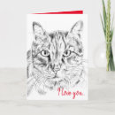 Search for funny cat anniversary cards Humour