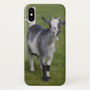 Search for mammals iphone cases Farm