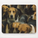 Search for small group of animals mouse mats Outdoors