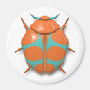 Search for beetles magnets Cute