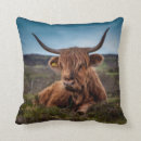 Search for scotland cushions Cute