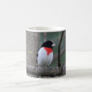 Search for red breasted mugs Nature