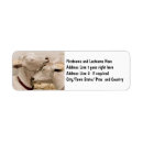 Search for couple in love return address labels Cute