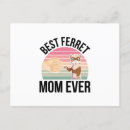 Search for ferrets postcards Animals