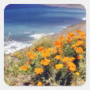 Search for monterey stickers Pacific ocean
