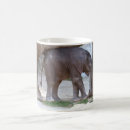 Search for elephant calf mugs Elephants