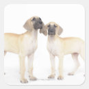 Search for side by side stickers Domestic animals