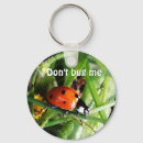 Search for bugs rounded key rings Funny