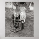 Search for vintage cat pictures posters Animals