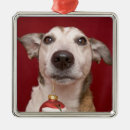 Search for jack russell dog christmas tree decorations Animal
