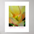 Search for yellow tulip posters Nature