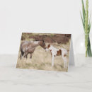 Search for mare cards Colt