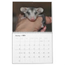 Search for possum office supplies Marsupial