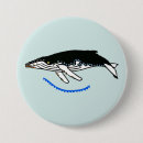 Search for humpback badges Sea