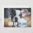 Search for pet adoption invitations Trendy