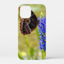 Search for morpho iphone cases Blue morpho butterfly