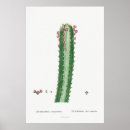 Search for vintage cactus posters Succulent