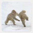 Search for low temperature stickers Animal