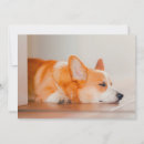 Search for corgi thank you cards Pet