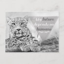 Search for endangered postcards Wildlife