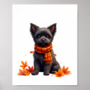 Search for affenpinscher posters Animal