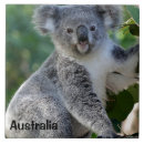 Search for australia tiles Marsupial