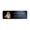 Search for shih tzus return address labels Dog