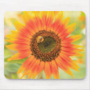Search for communal mouse mats Superstock