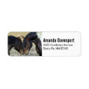 Search for paint horse return address labels Horses