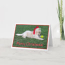 Search for golden christmas cards Cute