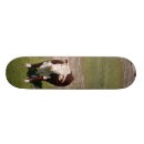 Search for cattle comp skateboards Nature