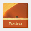Search for namibia magnets Landscape