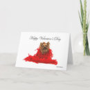 Search for boa cards Dog