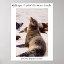 Search for ecuador art Galapagos