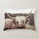Search for longhorns cushions Farmhouse