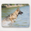 Search for leap mouse mats Animal