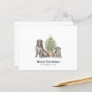 Search for black dog christmas cards Labrador retriever