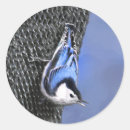 Search for nuthatch stickers White